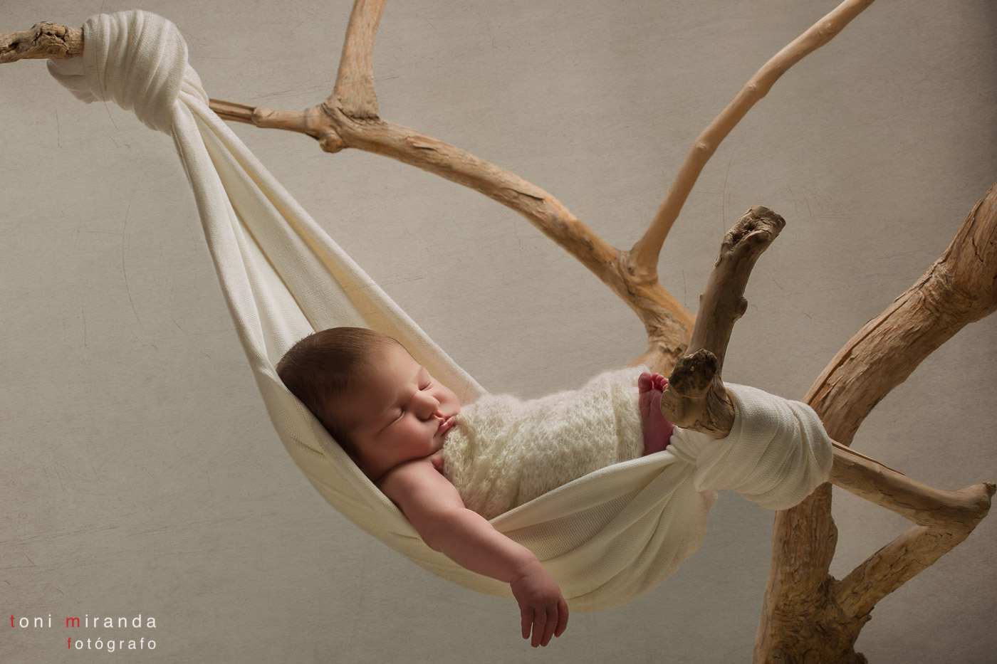 bebe recién nacida durmiendo en mercecedora colgando de un árbol