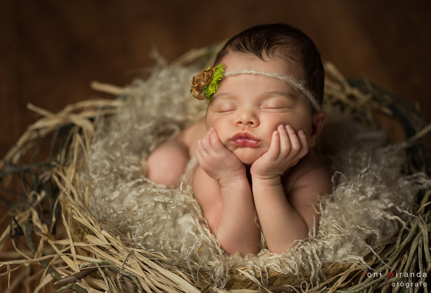 newborn dentro de nido de pájaro